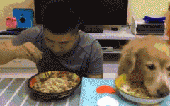 如果你家也有只吃貨狗狗，這點一定要注意！