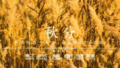 秋分丨晝夜分畫，漸入秋華